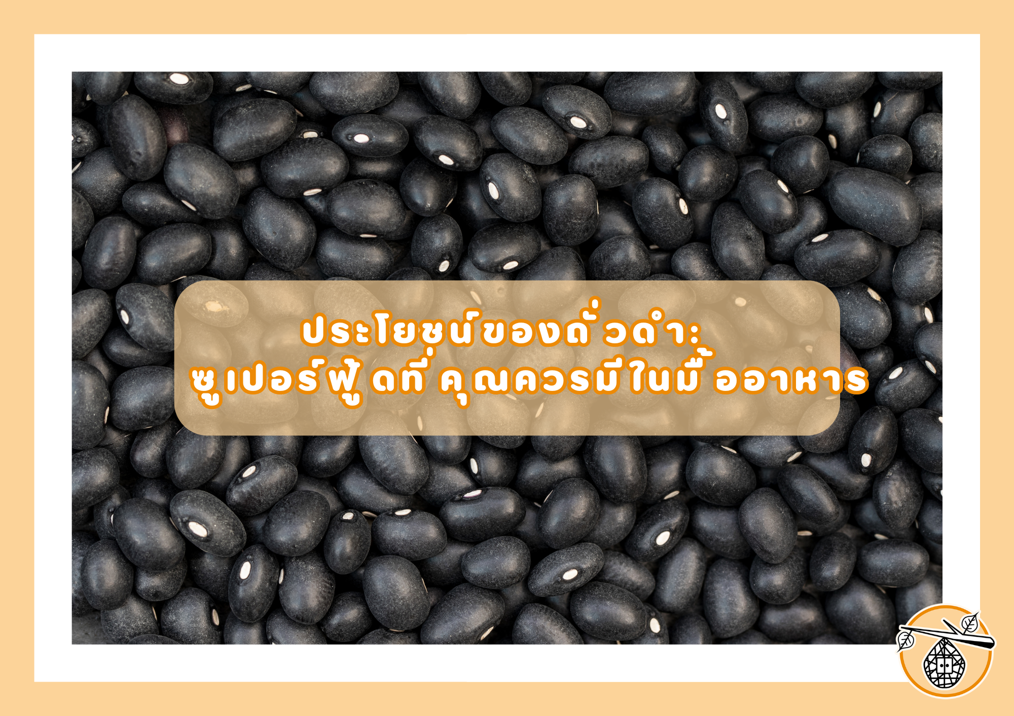 ประโยชน์ของถั่วดำ: ซูเปอร์ฟู้ดที่คุณควรมีในมื้ออาหาร