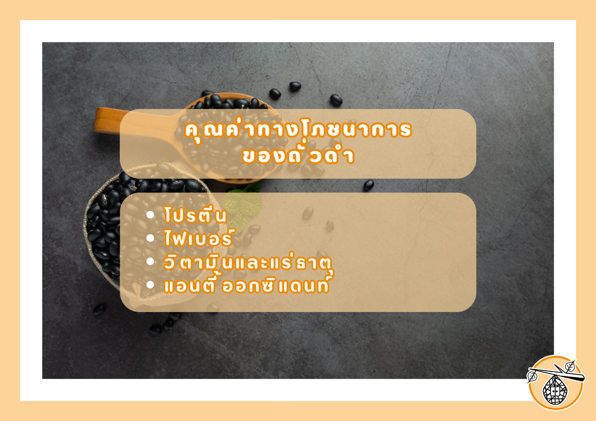 ประโยชน์ของ "ถั่วดำ" ซูเปอร์ฟู้ดที่คุณควรมีในมื้ออาหาร
