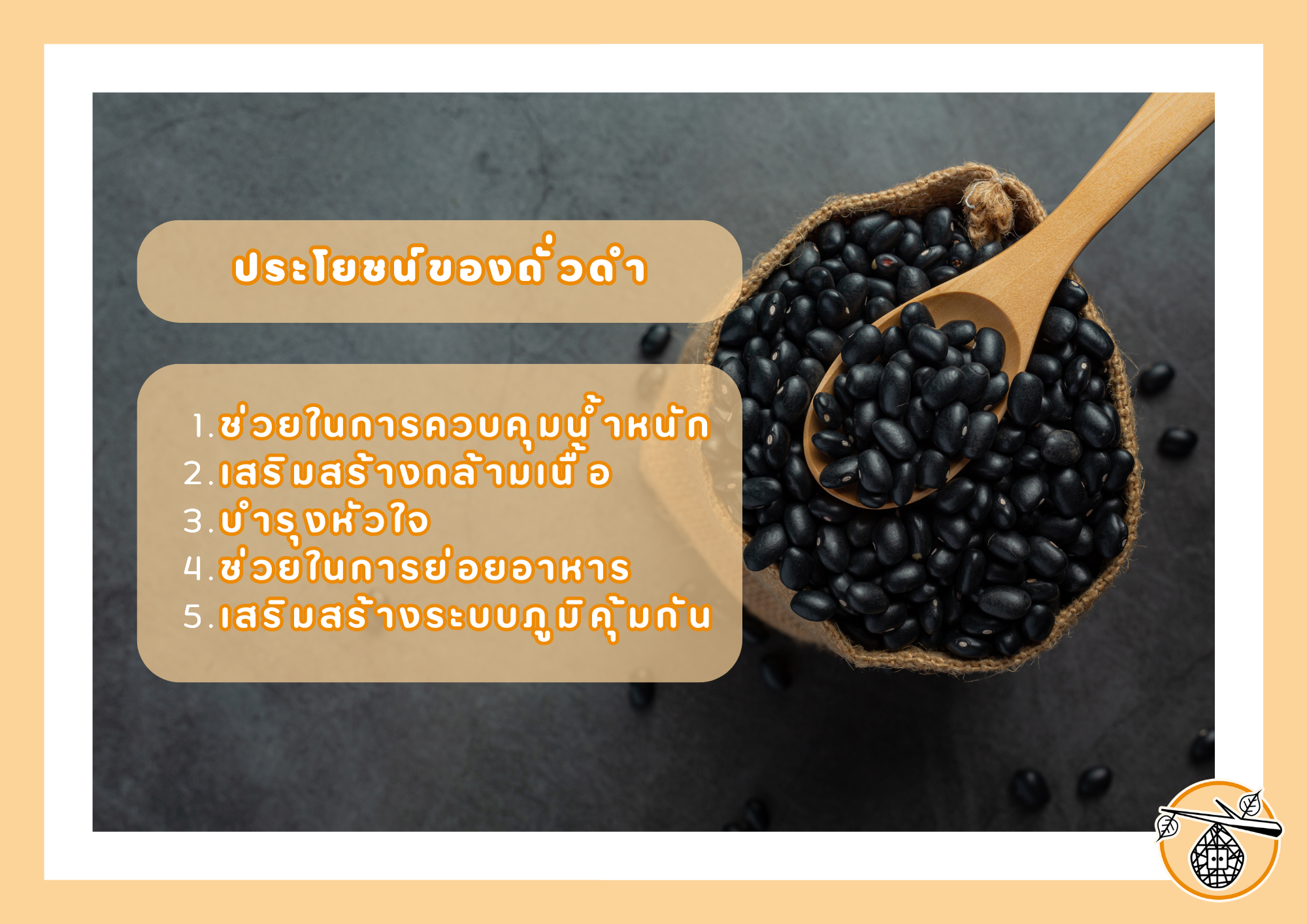 ประโยชน์ของ "ถั่วดำ" ซูเปอร์ฟู้ดที่คุณควรมีในมื้ออาหาร