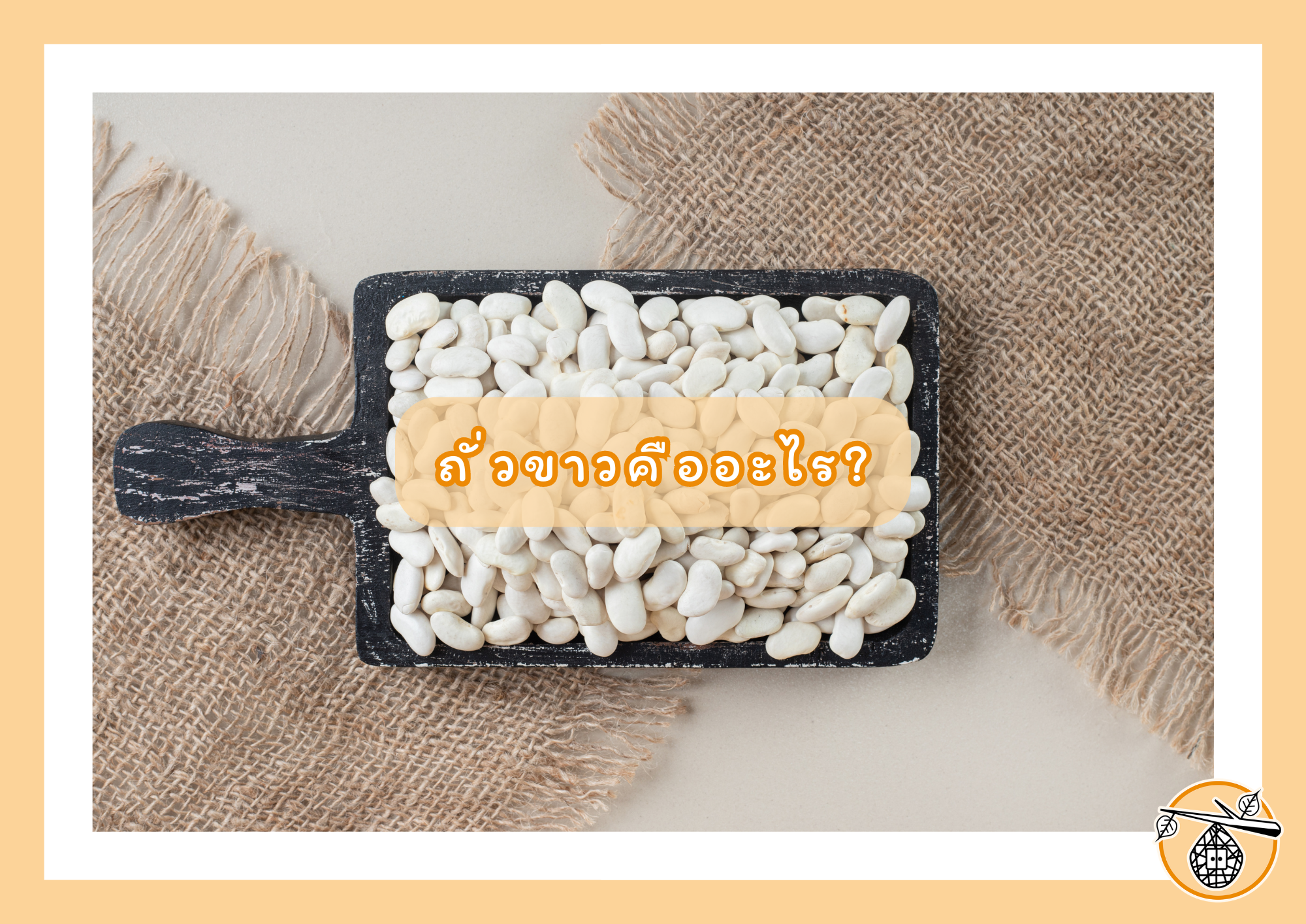 ถั่วขาว: สุดยอดอาหารเพื่อสุขภาพที่คุณต้องลอง
